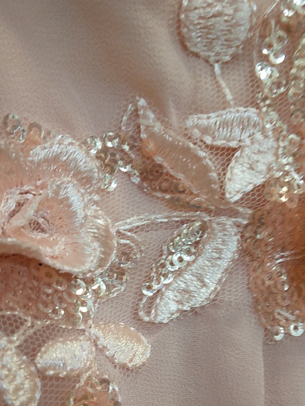 Ever Pretty Blush A-line Chiffon Short Sleeve Dress With Floral Applique - Picture 6 of 8